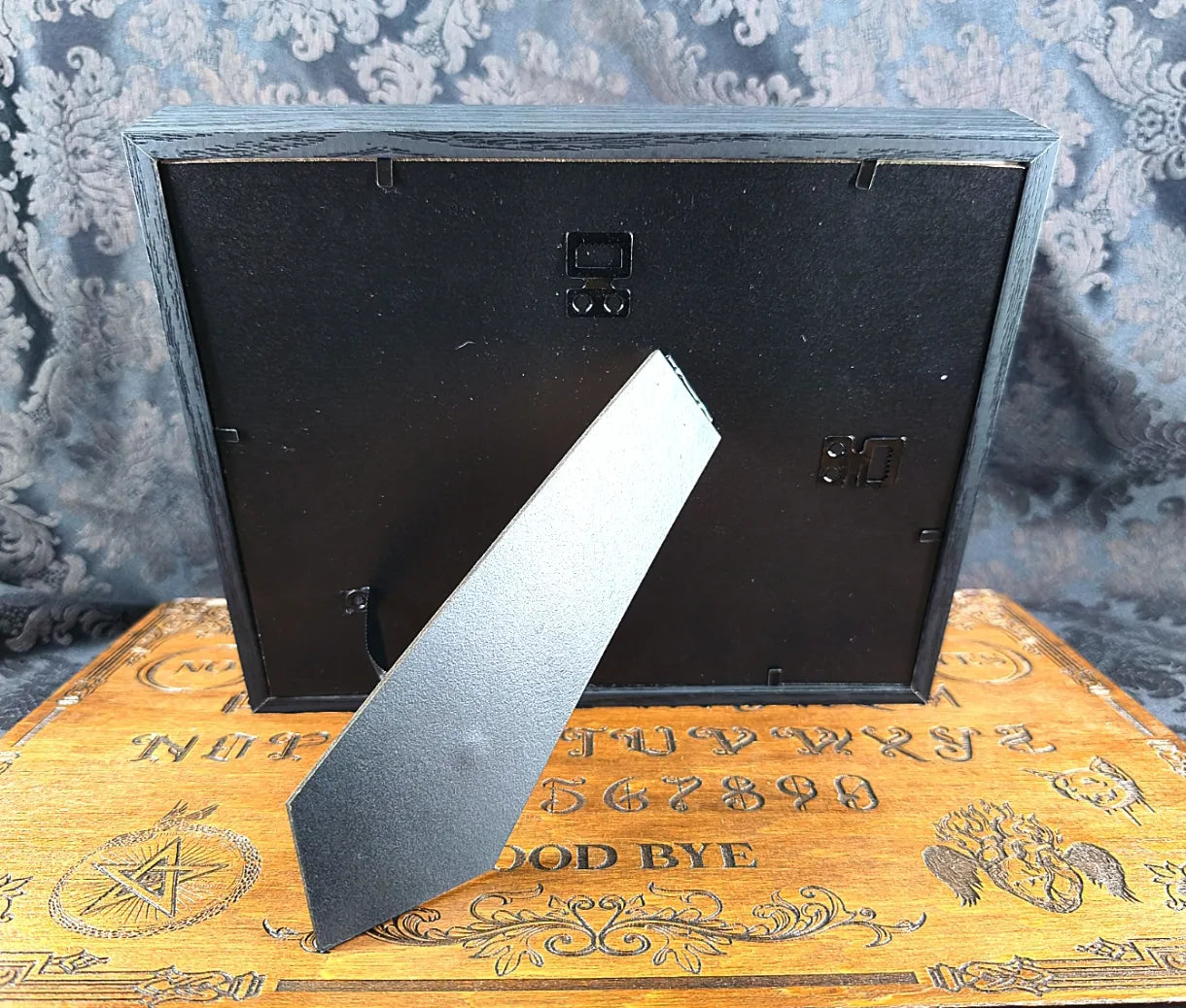 Cadre entomologique papillon vue de dos à poser ou suspendre