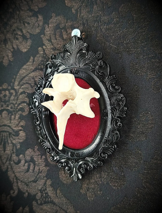 Cadre gothique noir mat avec vertèbre, fond velours rouge, décoration dark