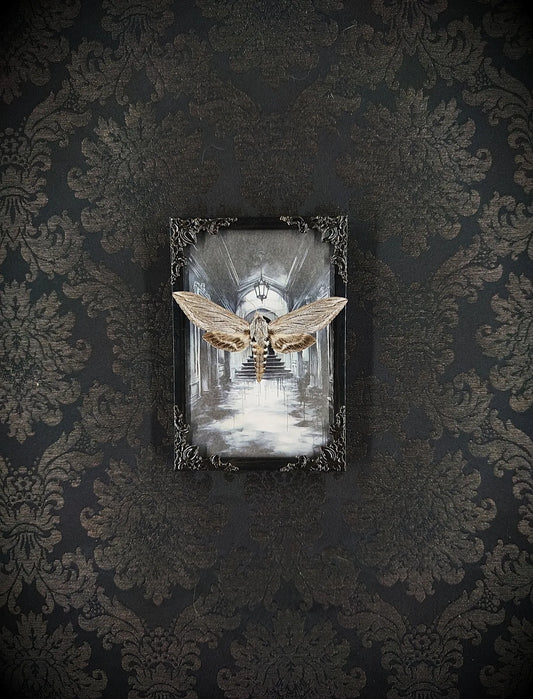 Cadre noir baroque avec papillon sphinx, fond gothique architectural, décoration murale dark art
