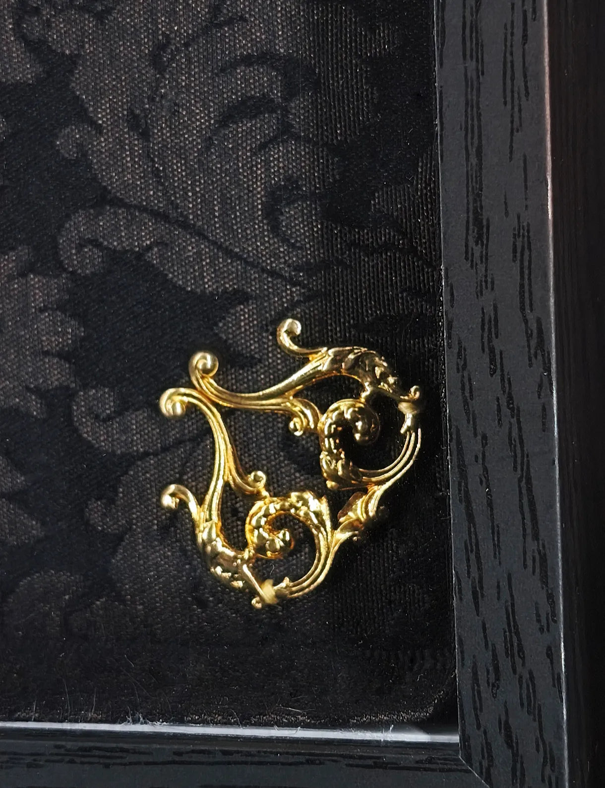 Détail de l'ornement doré du cadre du papillon