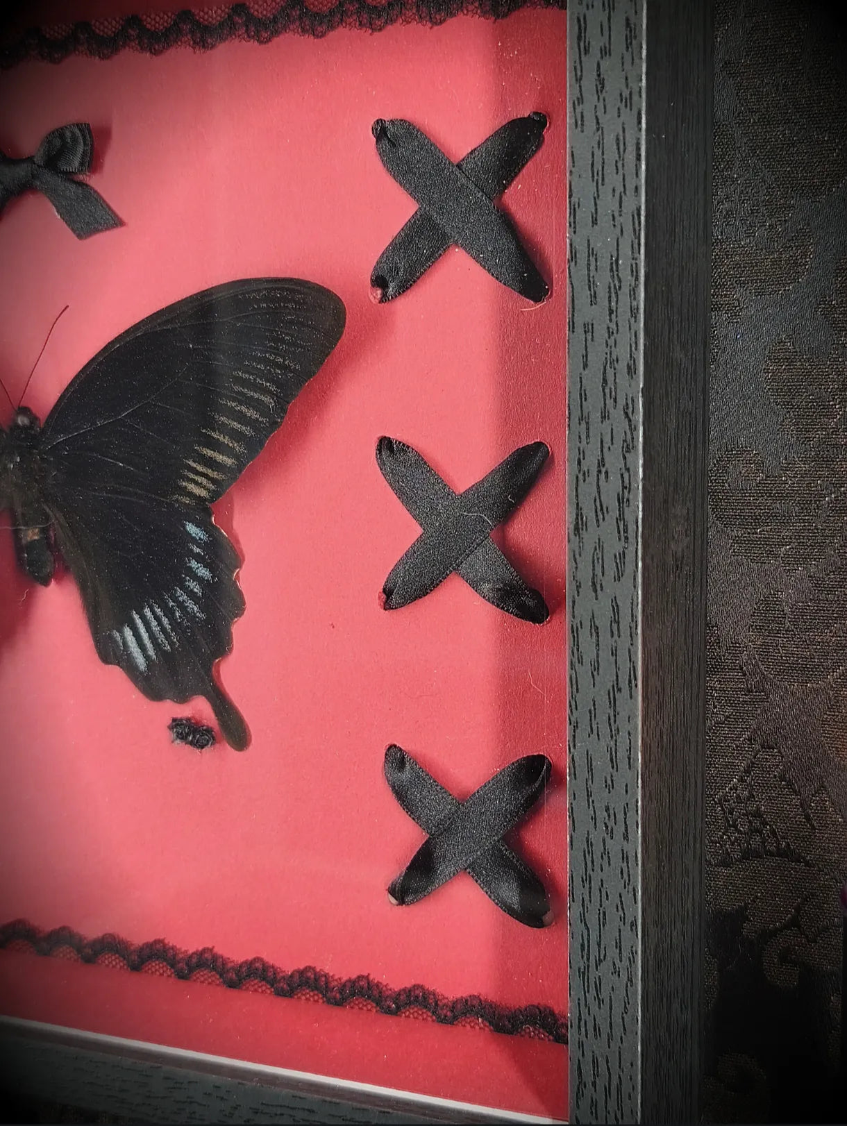 Détail des laçages noirs du cadre papillon