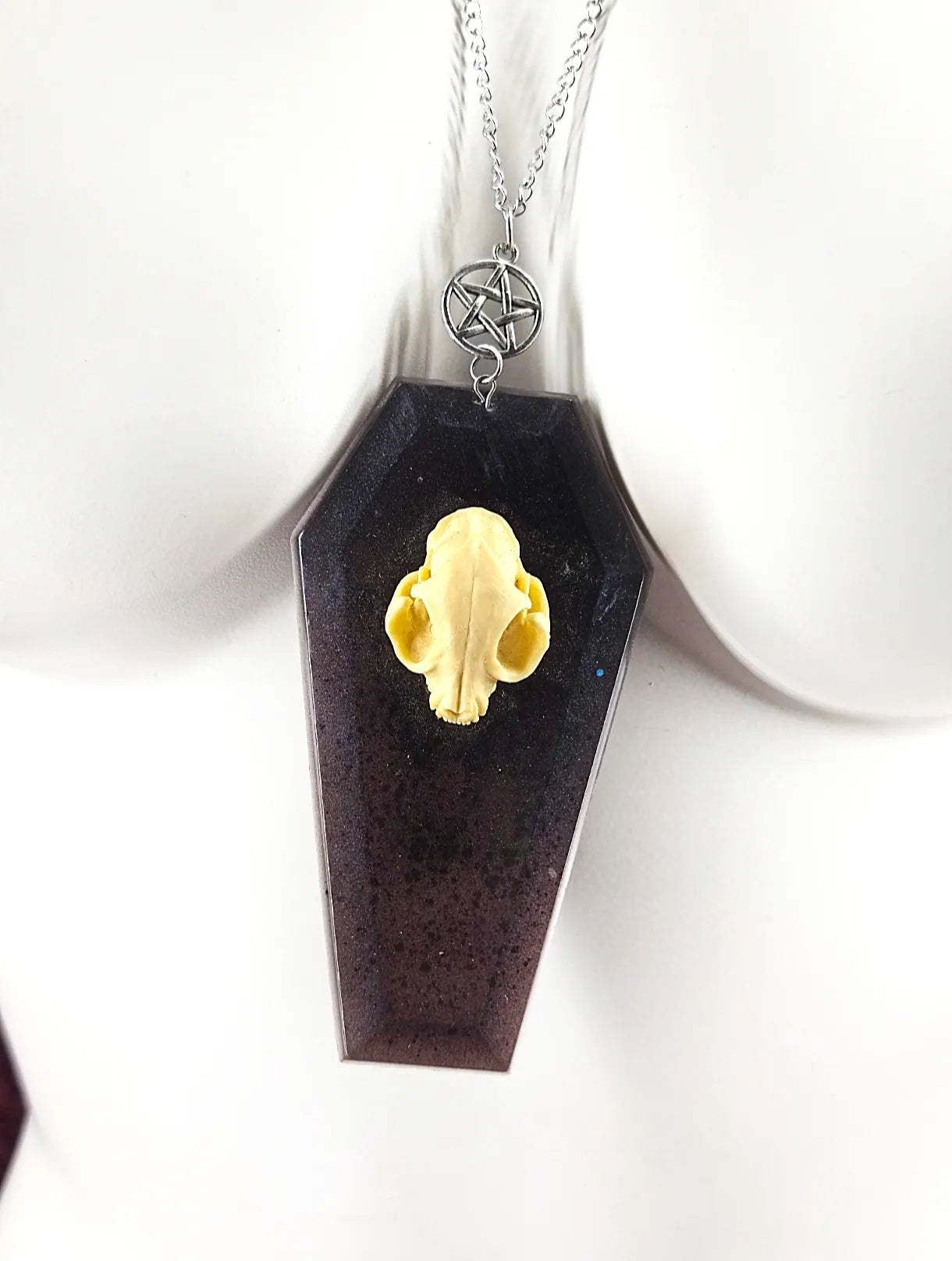 Détail du cercueil et crâne de chat du collier