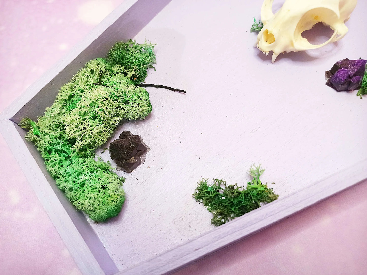 Décoration cercueil pastel goth avec crâne de chat, cristaux et branche fait main