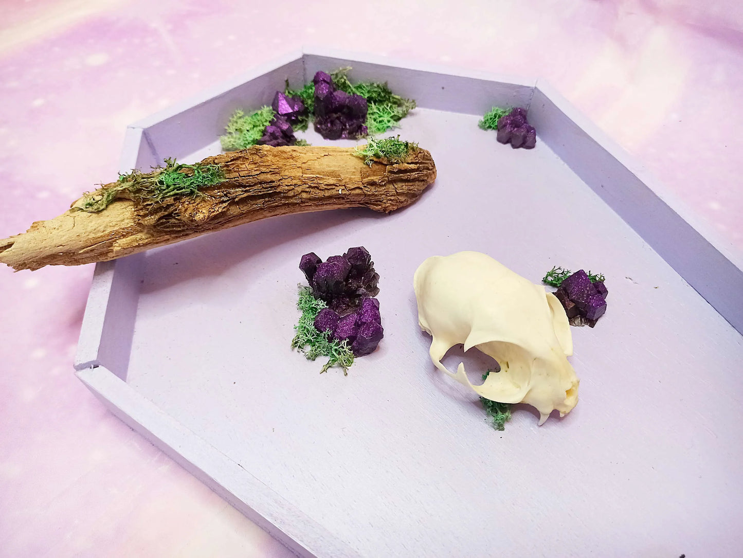 Décoration cercueil pastel goth avec crâne de chat, cristaux et branche fait main