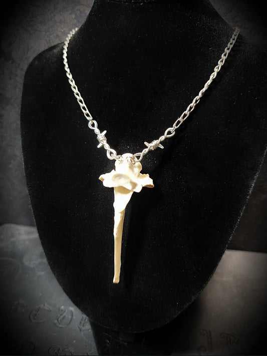 Vue rapprochée du collier gothique en acier inoxydable avec vertèbre de chevreuil naturelle