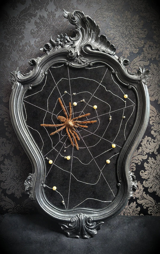 Cadre baroque gothique avec mygale sur velours et toile d'araignée fait main