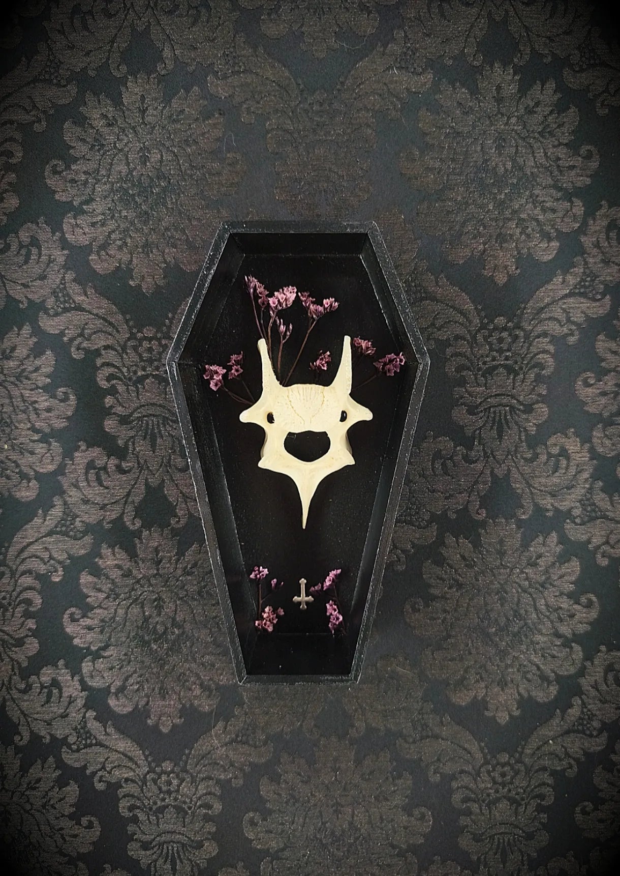 Cadre cercueil avec vertèbre & fleurs séchées cabinet de curiosités 