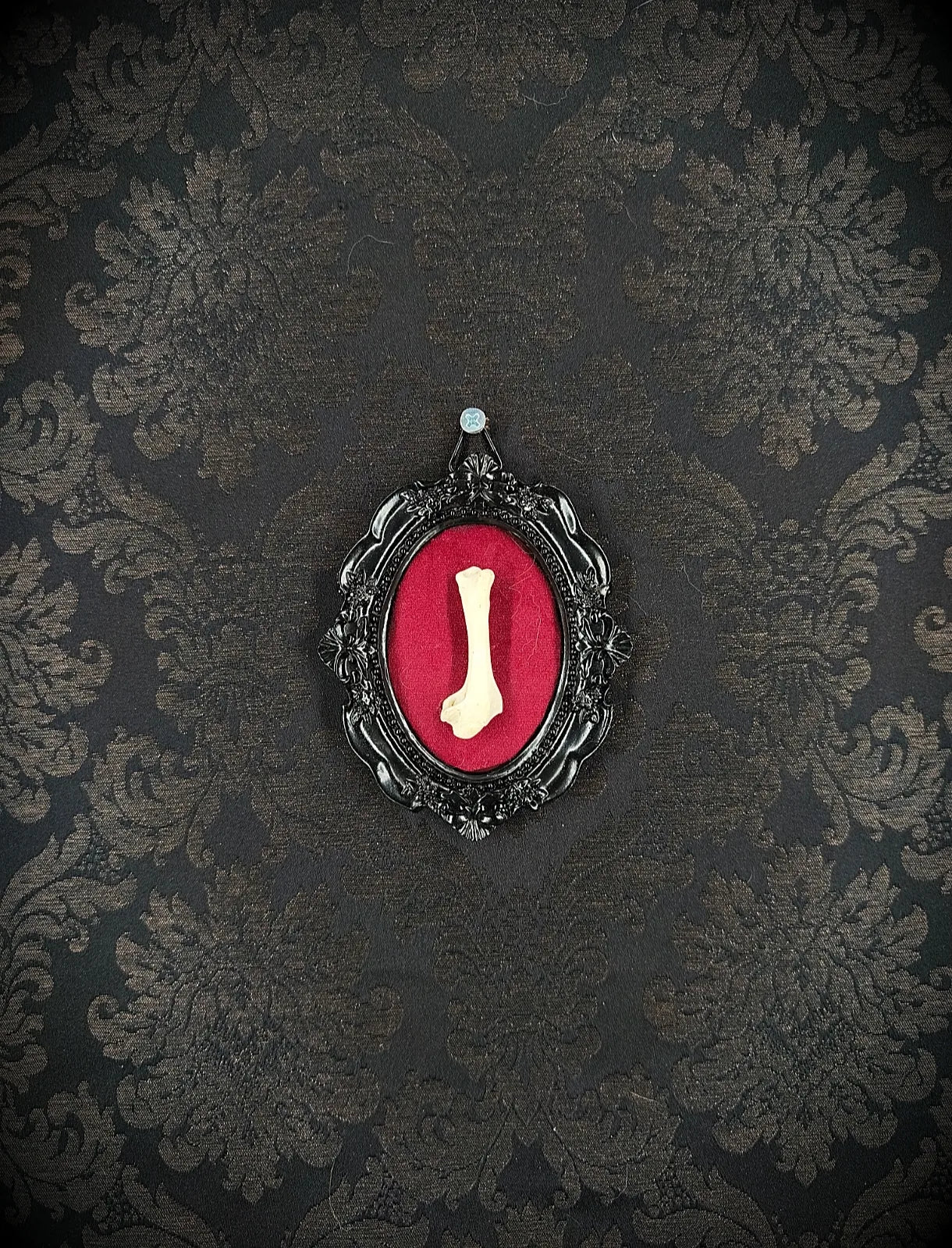 Cadre décoratif gothique avec os et velours rouge, ambiance dark et mystérieuse