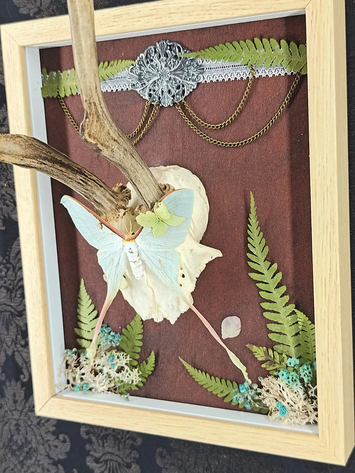 Cadre décoration gothique naturel avec fleurs séchées, mousse et dentelle blanche