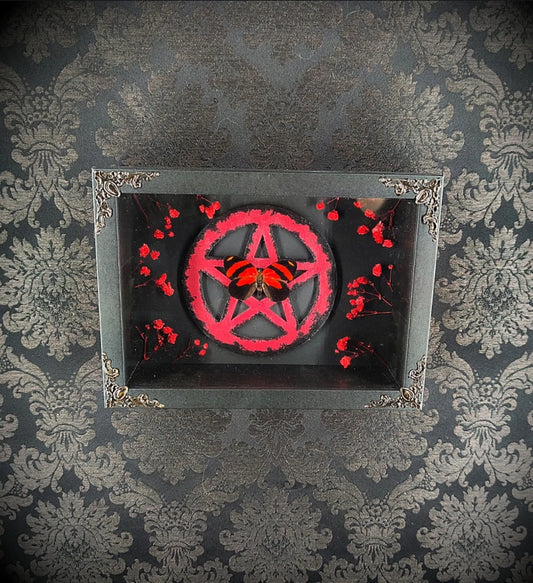 Cadre entomologique gothique avec papillon rouge et noir sur pentacle en bois rouge décoration murale