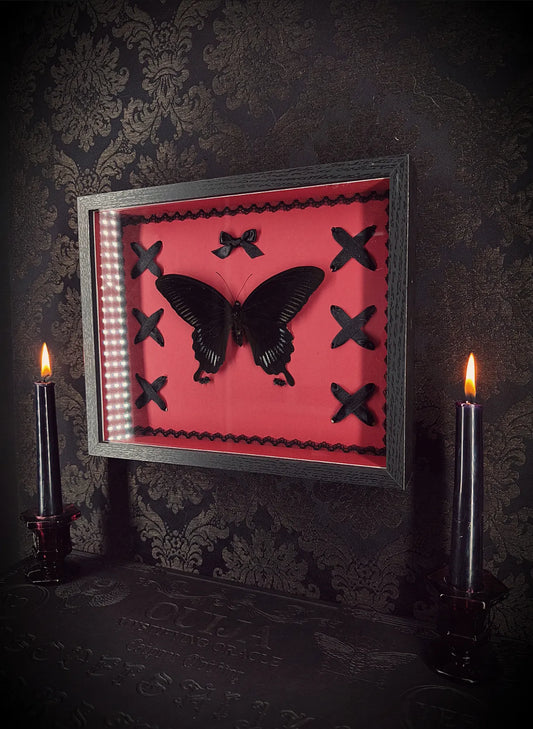 Cadre entomologique gothique fait main bordeau avec papillon, laçage et noeud 