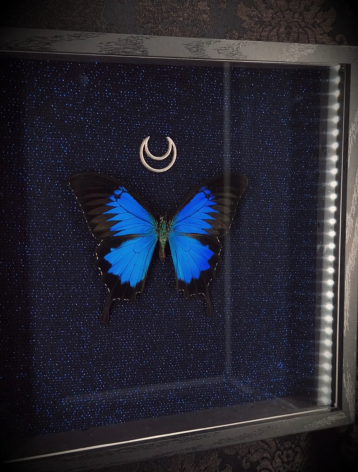 Cadre gothique avec papillon, tissus noir bleuté 