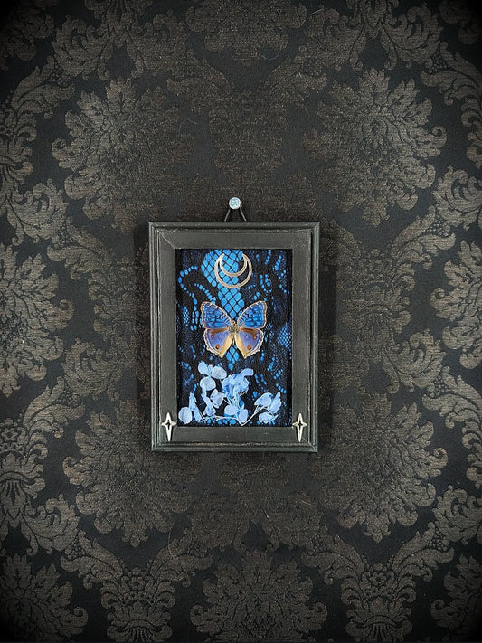 Cadre gothique fait main avec papillon, croissant de lune et fleurs séchées, décoration murale ésotérique