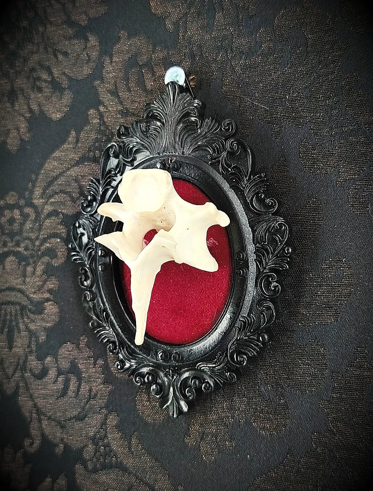 Cadre gothique noir mat avec vertèbre, fond velours rouge, décoration dark