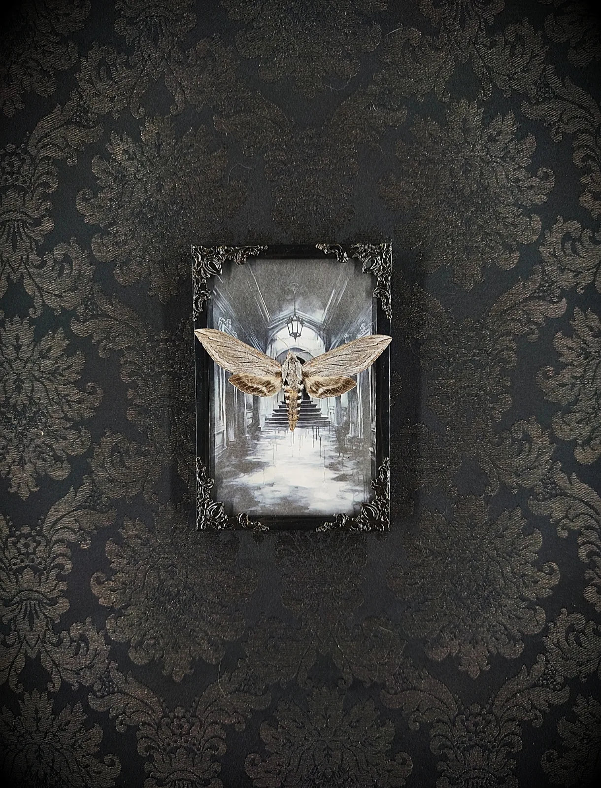 Cadre noir baroque avec papillon sphinx, fond gothique architectural, décoration murale dark art