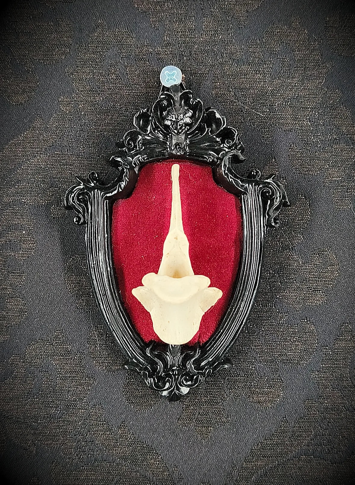 Cadre noir baroque avec vertèbre et fond velours bordeaux, style ésotérique
