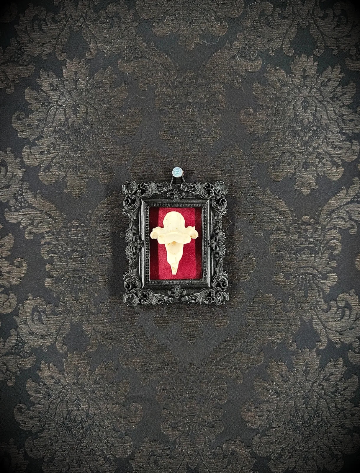 Cadre rectangulaire gothique avec os vertèbre sur fond velours rouge, décoration murale alternative