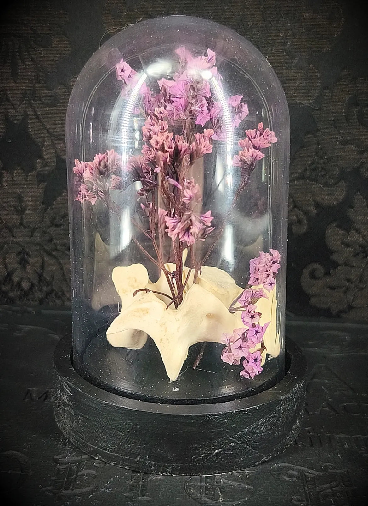 Cloche décorative gothique spécimen naturel sous verre & fleurs séchées
