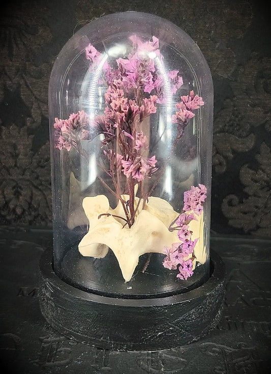 Cloche décorative gothique spécimen naturel sous verre & fleurs séchées