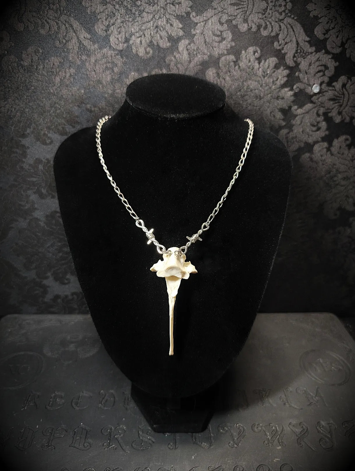 Collier Reliquaire Sylvestre avec véritable vertèbre de chevreuil et chaîne en acier inoxydable sur buste noir
