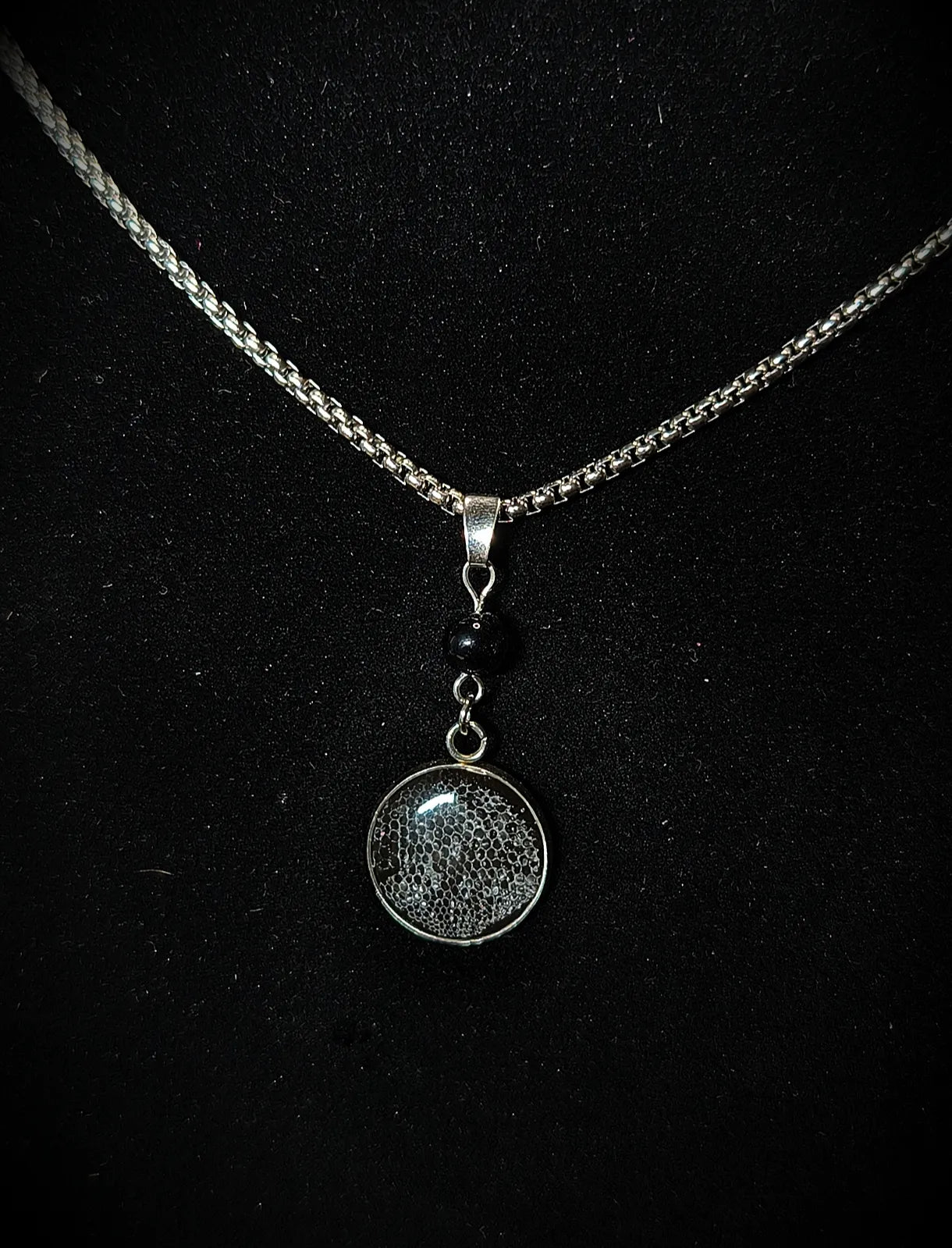 Collier naturaliste vu de près avec mue de gecko léopard incrustée dans résine UV sur fond noir