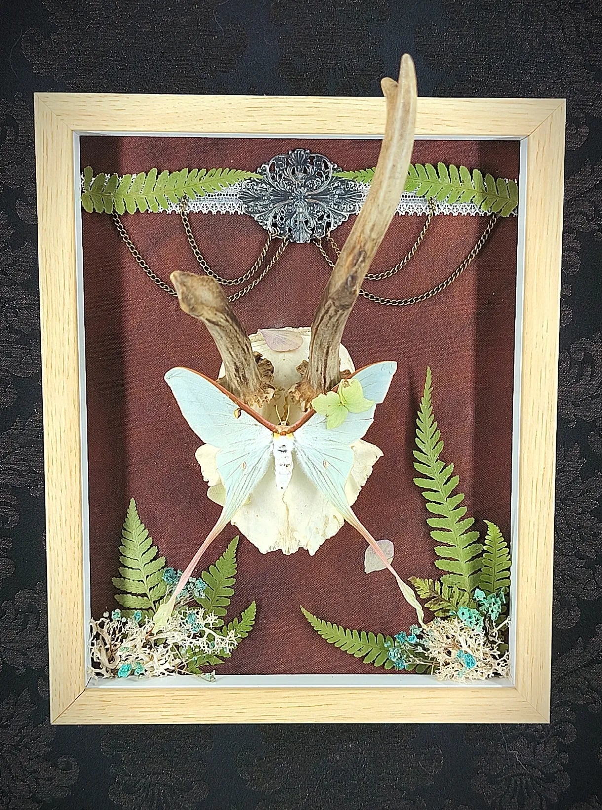 Composition murale artisanale avec papillon bleu, fougères séchées et fond tissu marron