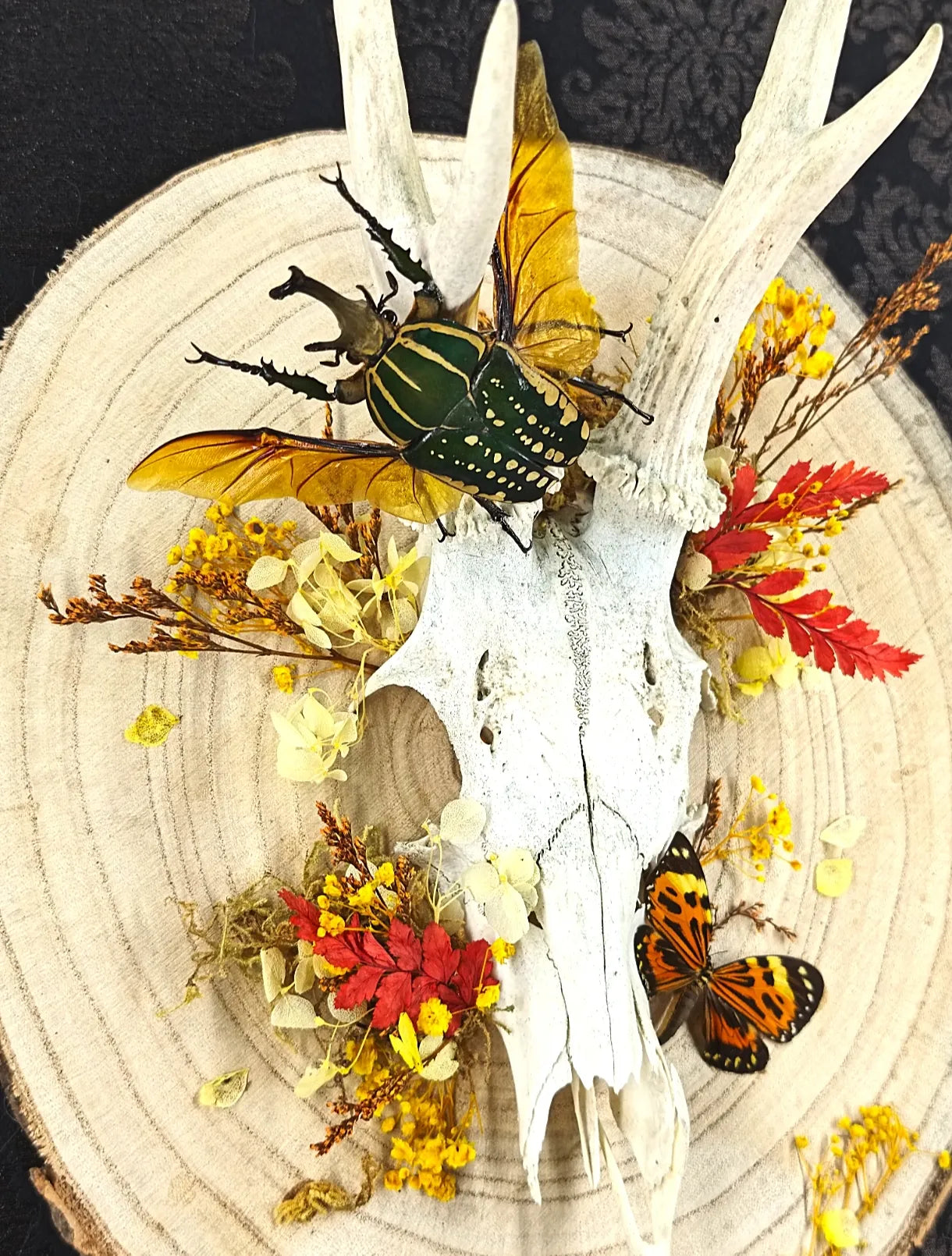 Crâne de chevreuil avec composition florale séchée tons automne