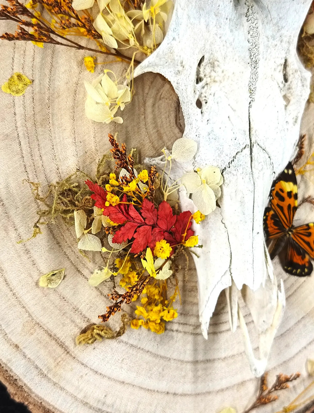 Décoration cabinet de curiosités avec massacre de chevreuil et fleurs