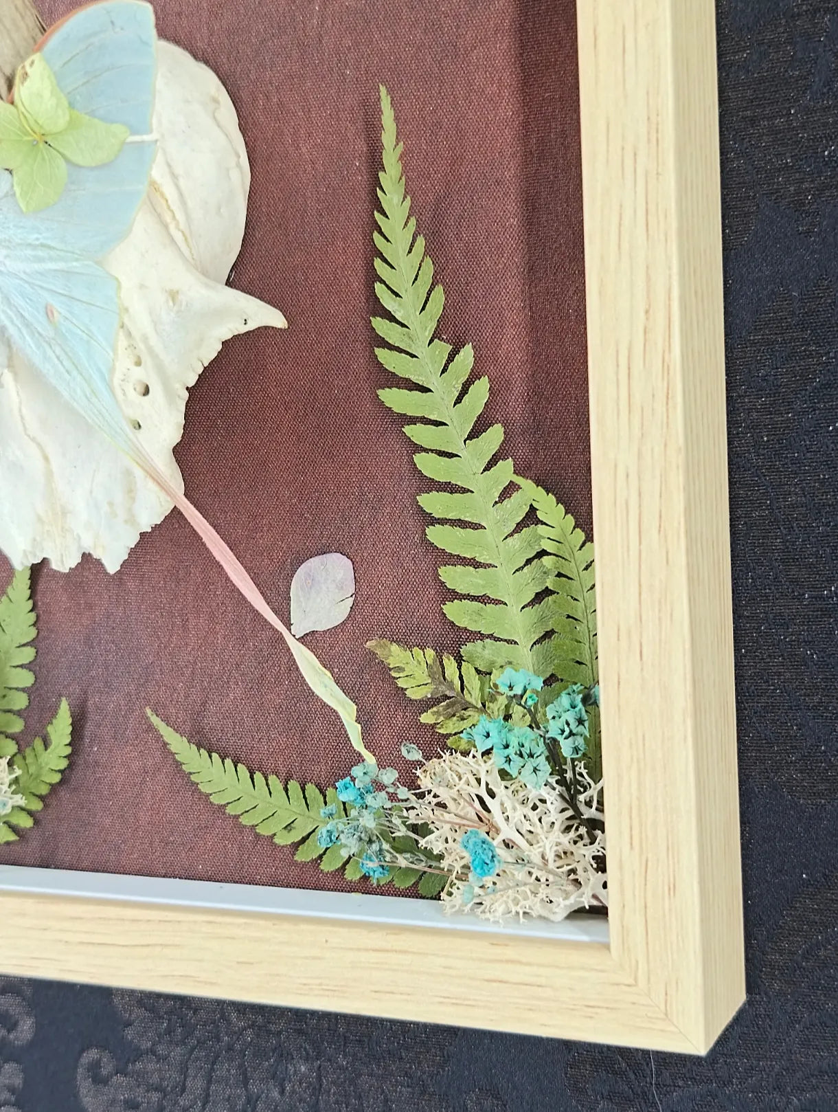 Détail des fougères dans un cadre décoratif naturel avec crâne de chevreuil et papillon