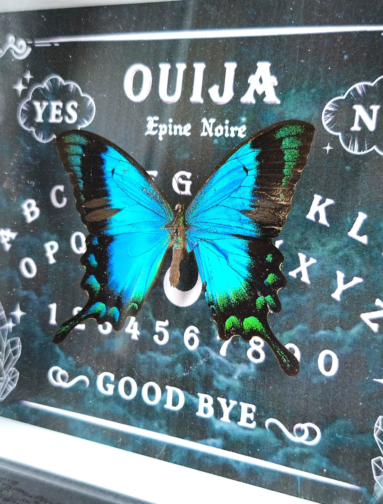 Détail du papillon bleu dans cadre ouija 
