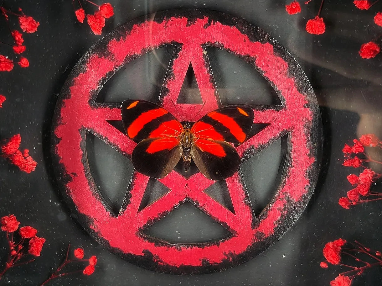 Détail papillon rouge et noir dans cadre gothique avec pentacle et plantes séchées