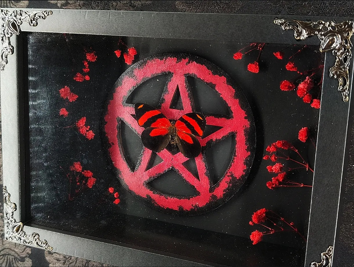 Détail plantes séchées rouges et pentacle bois peint dans cadre gothique fait main