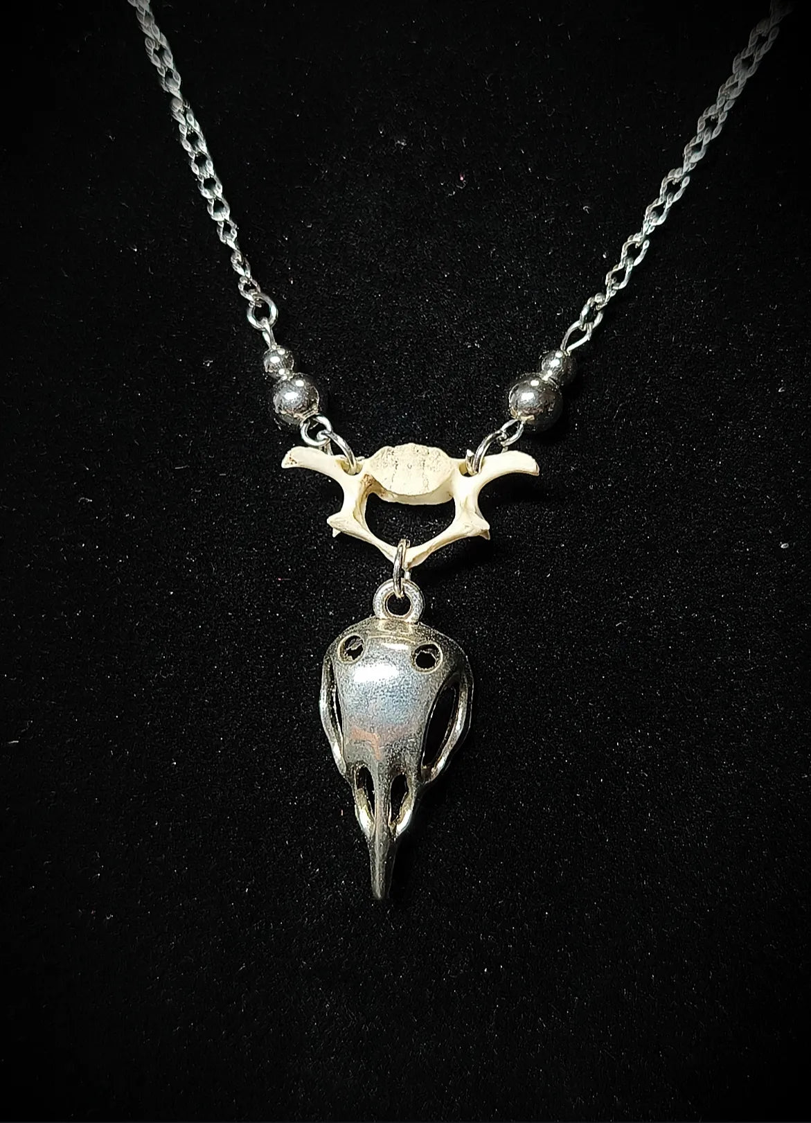 Gros plan collier cabinet de curiosités avec vertèbre véritable et crâne argenté en acier inoxydable