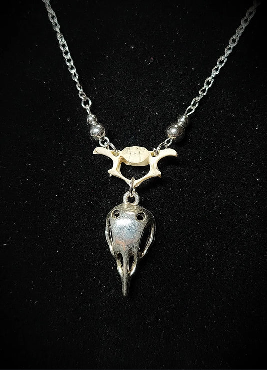 Gros plan collier cabinet de curiosités avec vertèbre véritable et crâne argenté en acier inoxydable