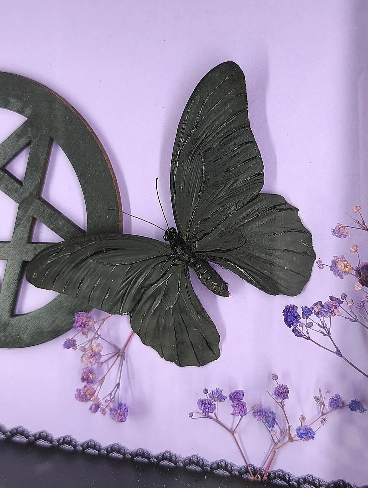Gros plan sur papillon noir dans cadre gothique avec fond clair