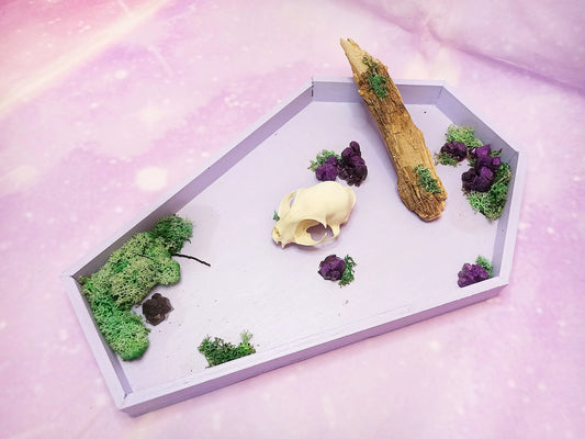 Décoration cercueil pastel goth avec crâne de chat, cristaux et branche fait main