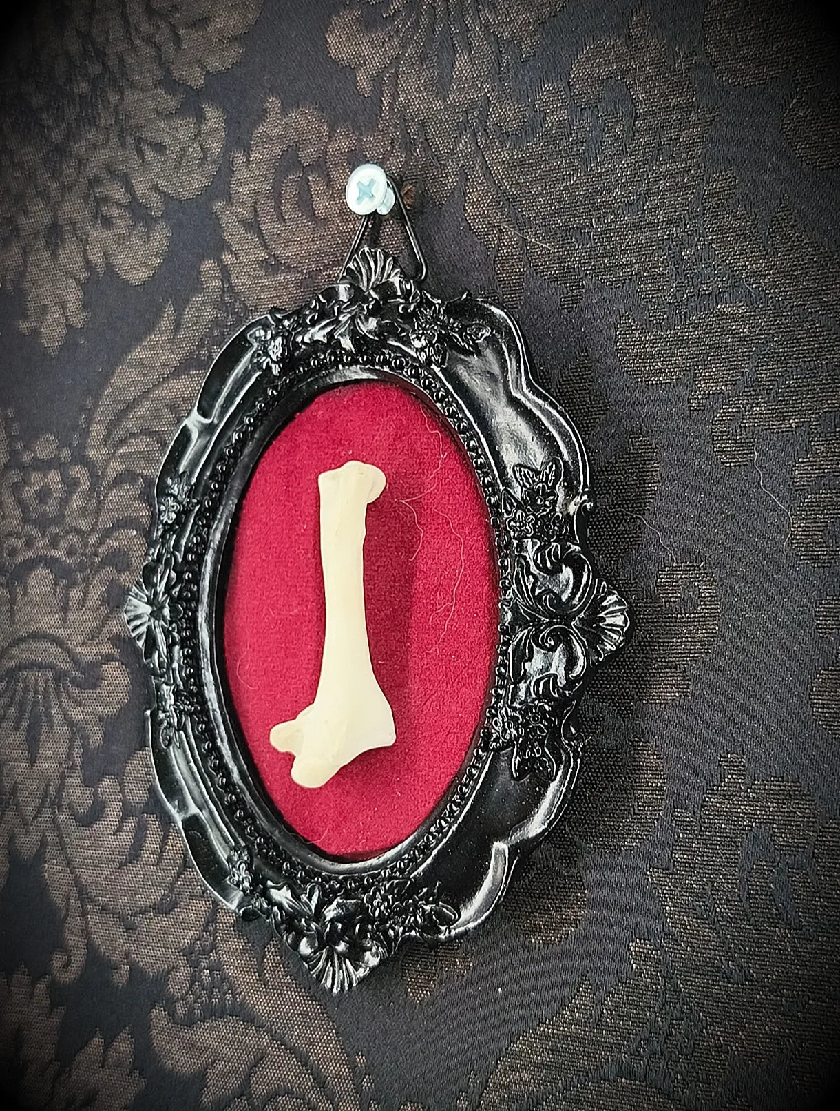 Petit cadre cabinet de curiosités avec vertèbre, décoration gothique artisanale