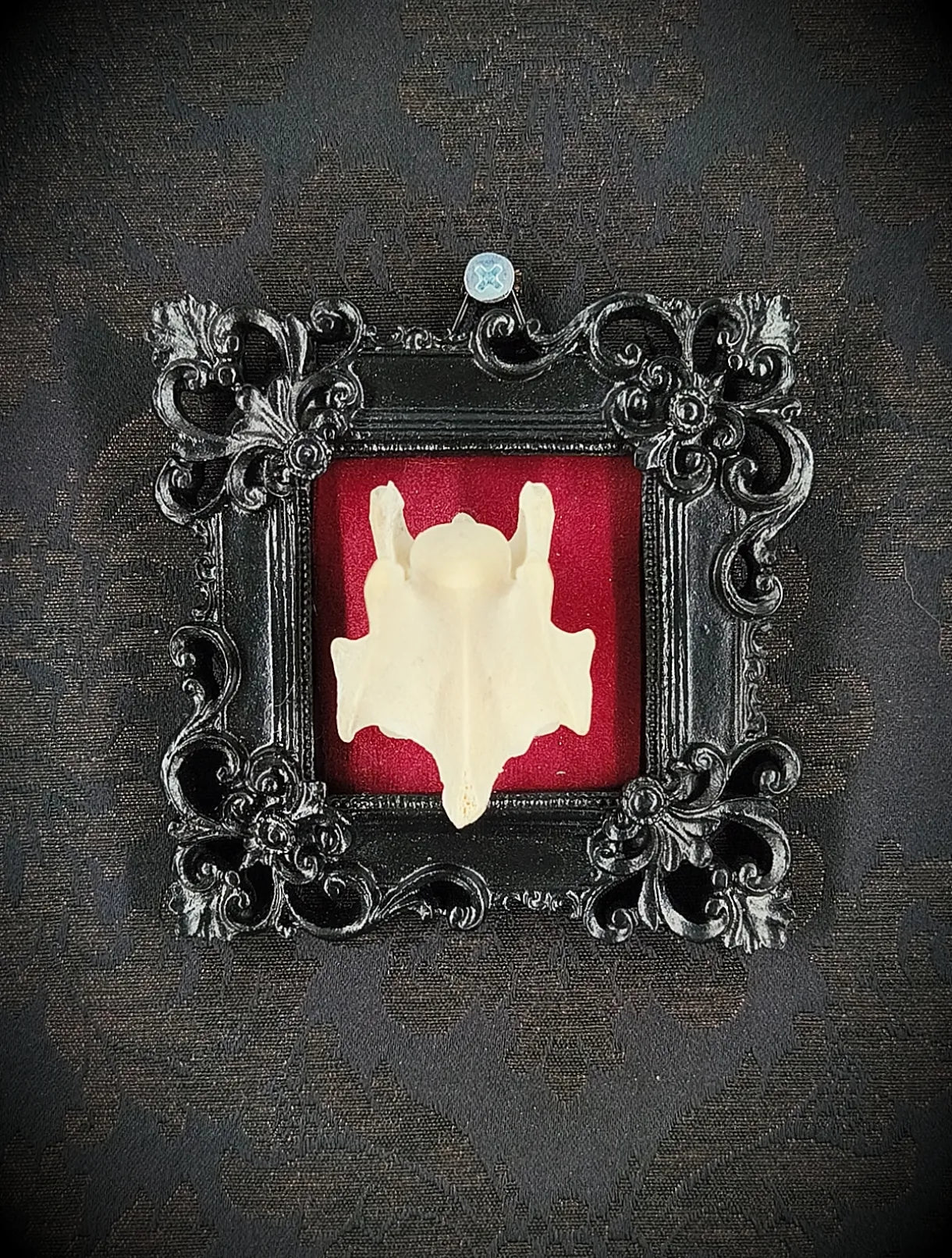 Petit cadre gothique carré avec vertèbre, velours bordeaux et style baroque fait main