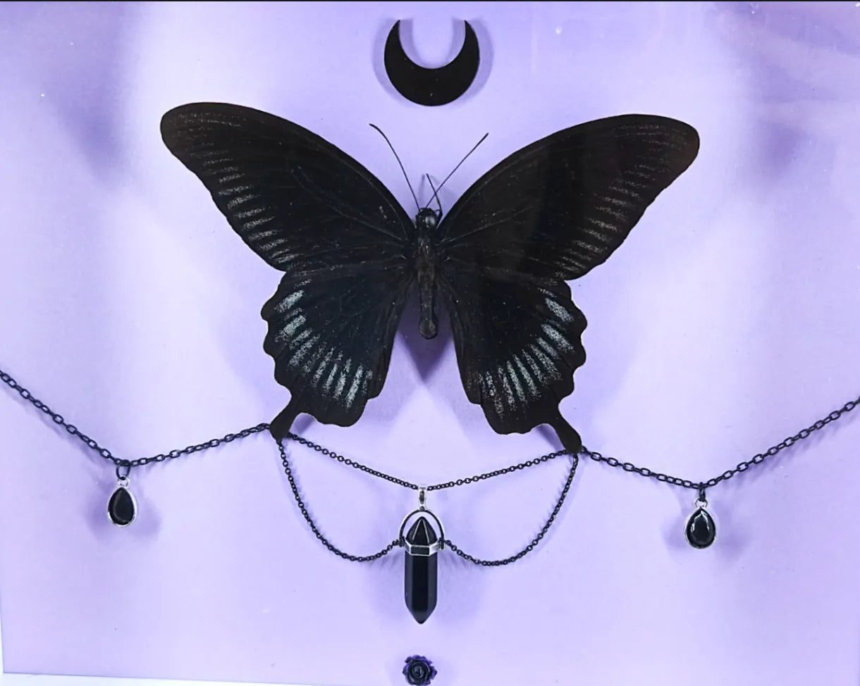 Cadre entomologique gothique au papillon noir et cristal – Décoration witchy & romantique