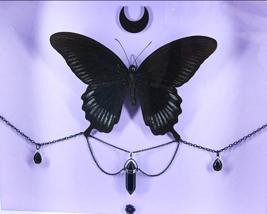 Cadre entomologique gothique au papillon noir et cristal – Décoration witchy & romantique