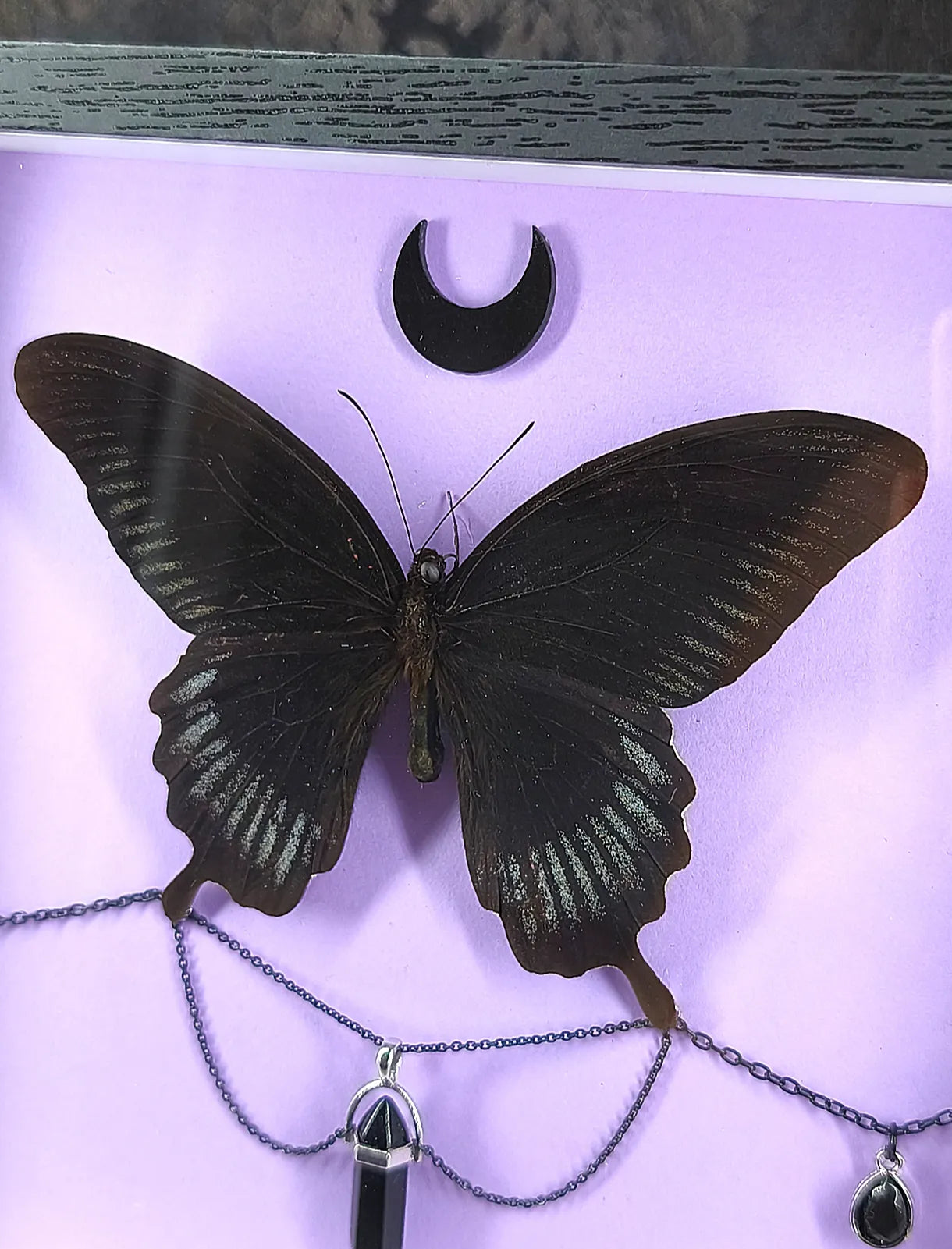 Cadre entomologique gothique au papillon noir et cristal – Décoration witchy & romantique