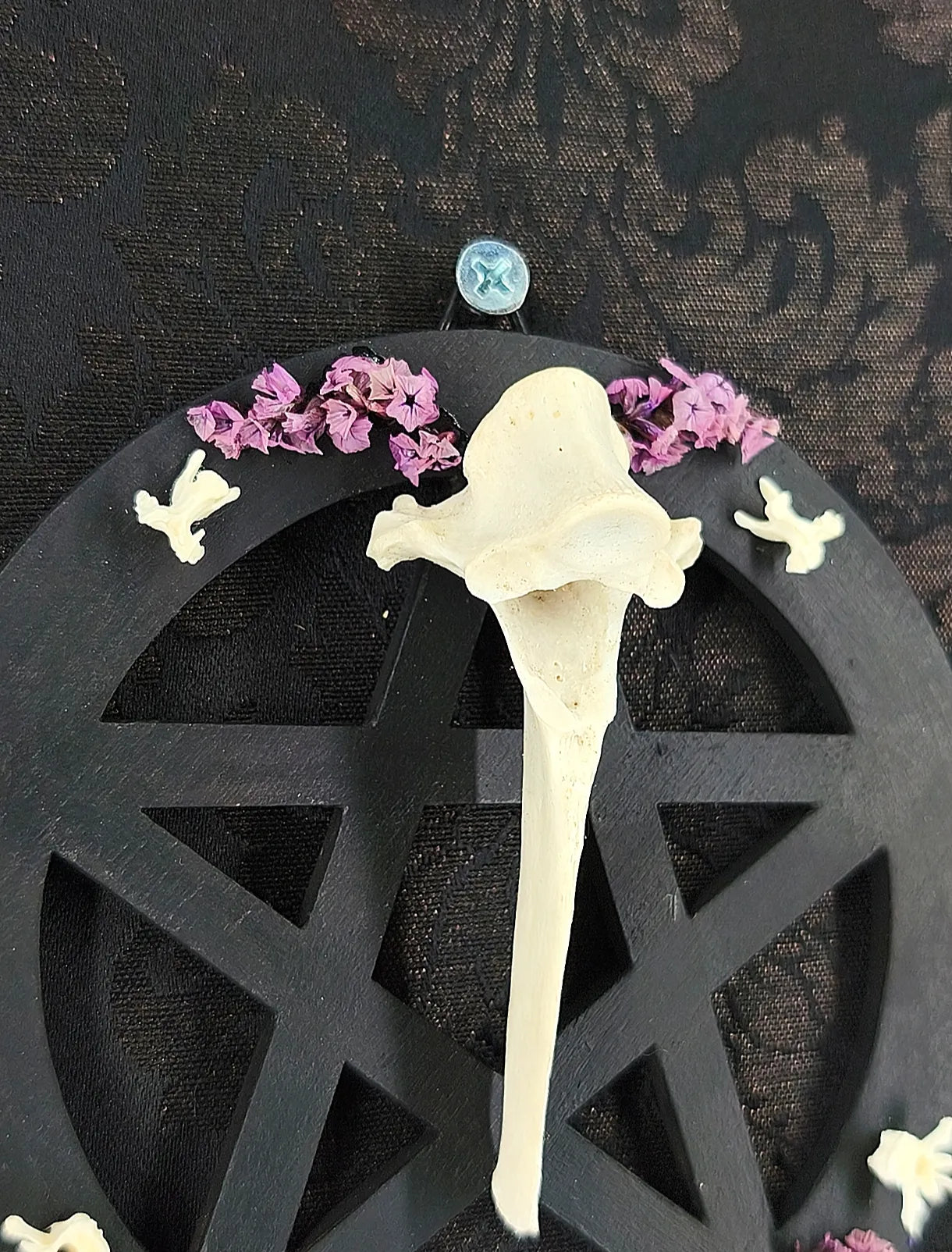 Pentacle Gothique Mural – Vertèbre & Fleurs Séchées fait main