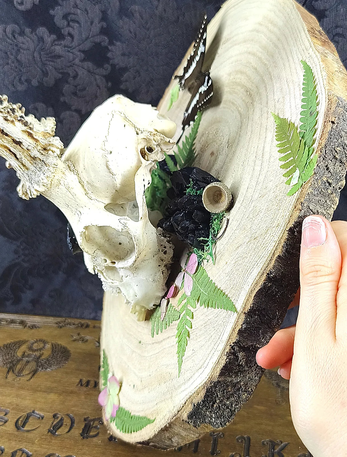 Vue complète de côté du massacre de chevreuil en bois