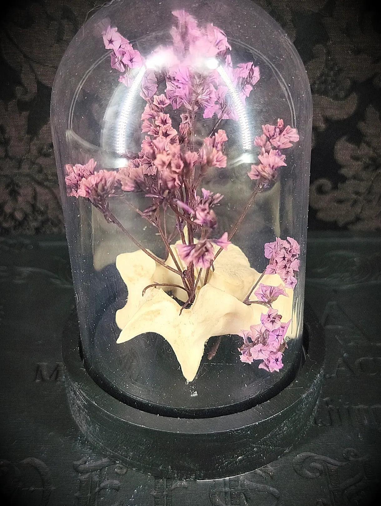 Vue des détails de la vertèbre et fleurs séchées de la cloche décorative 
