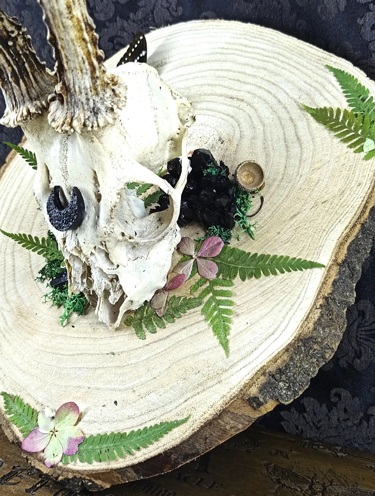 Vue de profil rapproché du massacre de chevreuil avec végétaux et cristaux