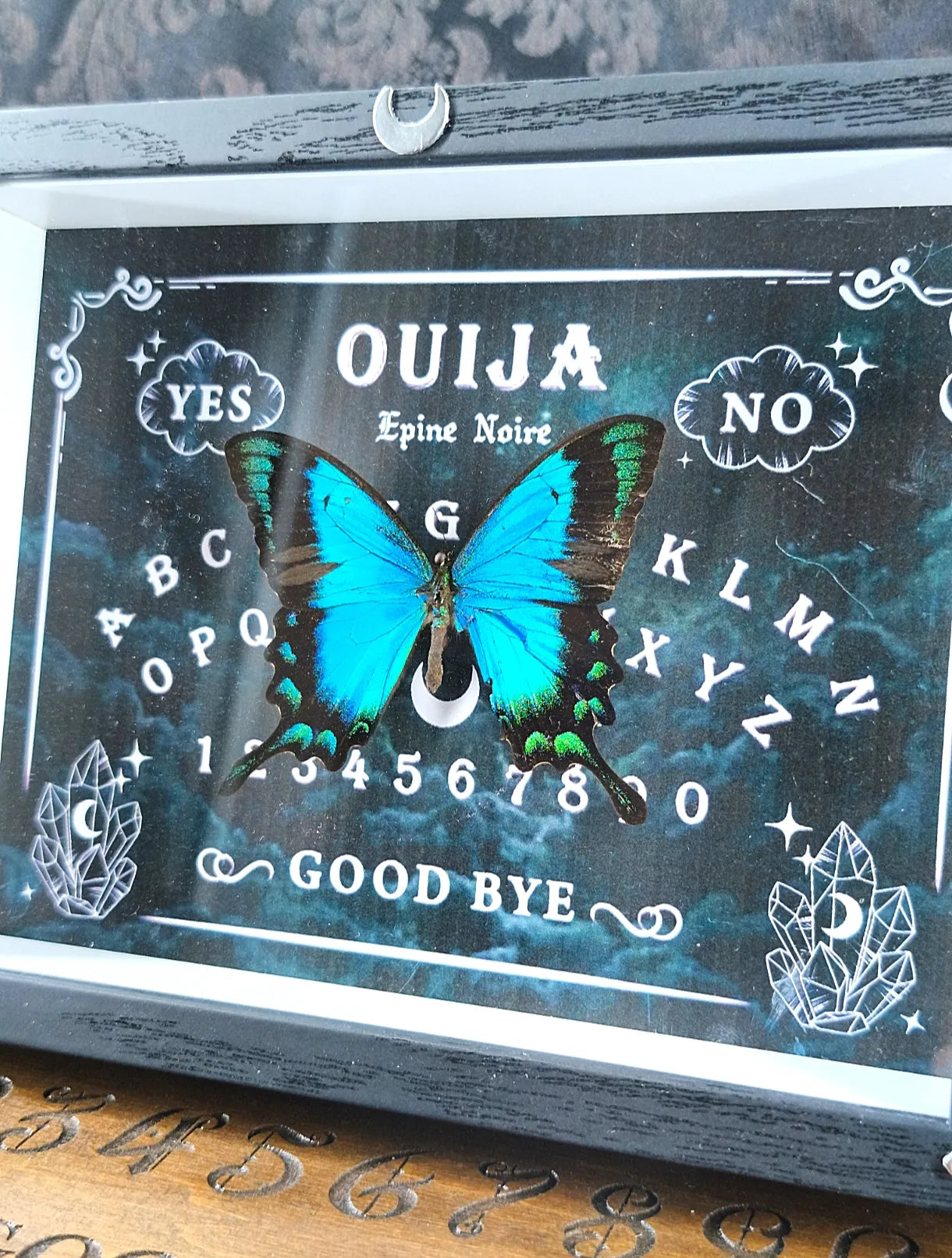 Vue rapprochée du cadre entomologique ouija