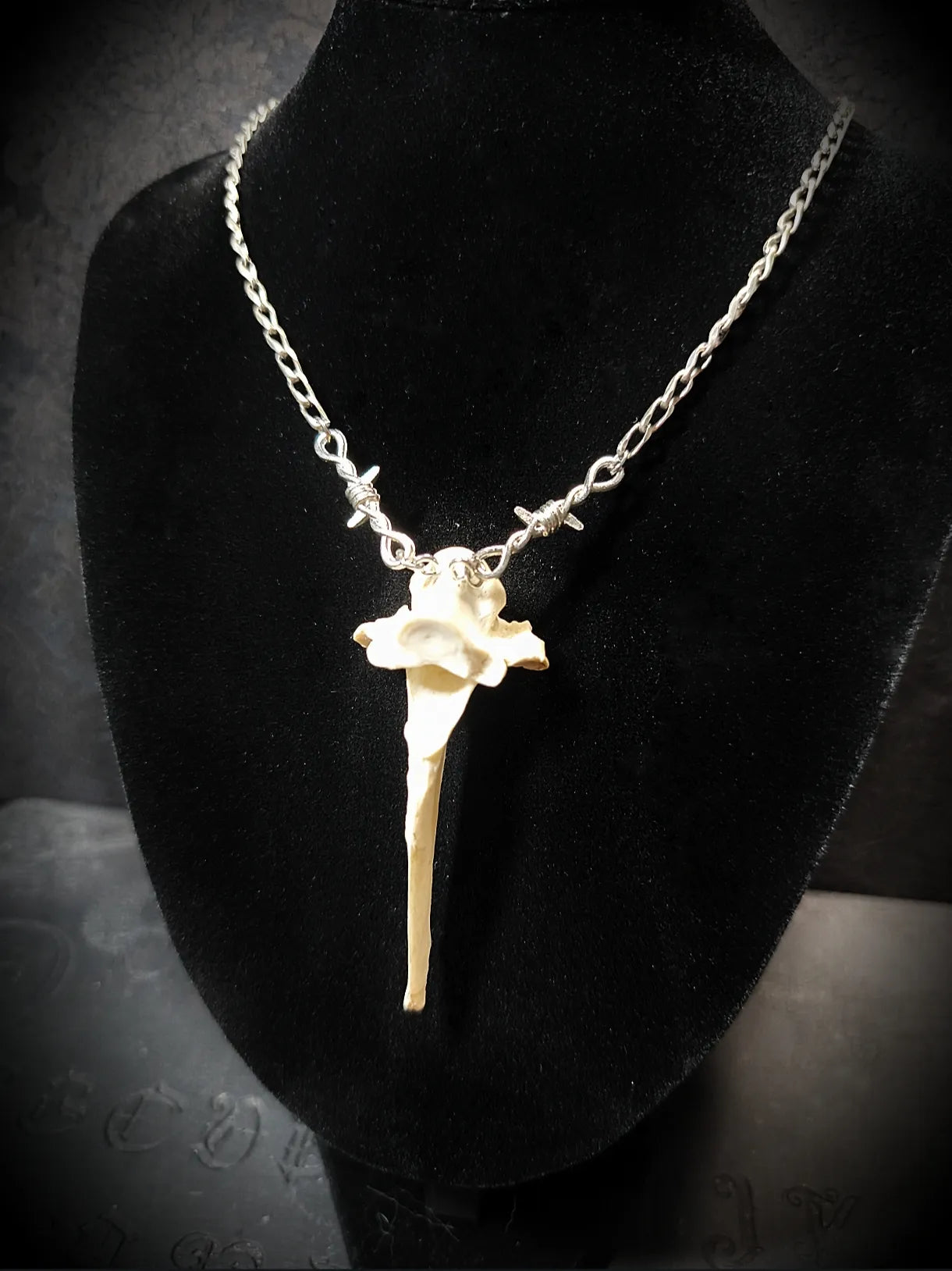Vue rapprochée du collier gothique en acier inoxydable avec vertèbre de chevreuil naturelle