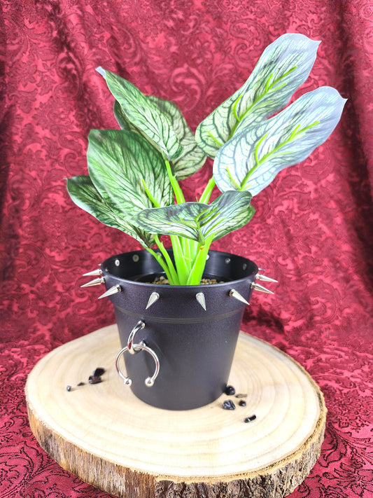 Vue d'ensemble du cache pot gothique