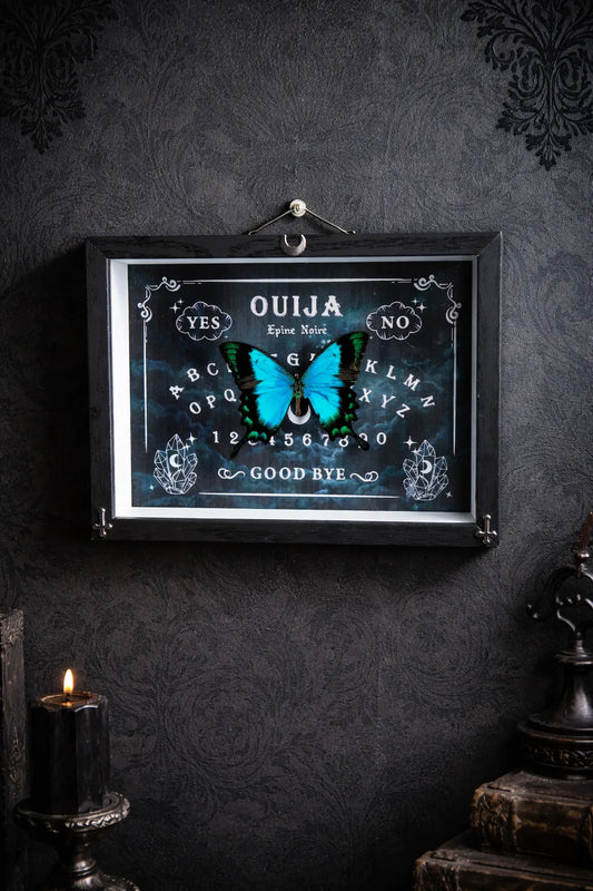 cadre entomologique gothique papillon ouija
