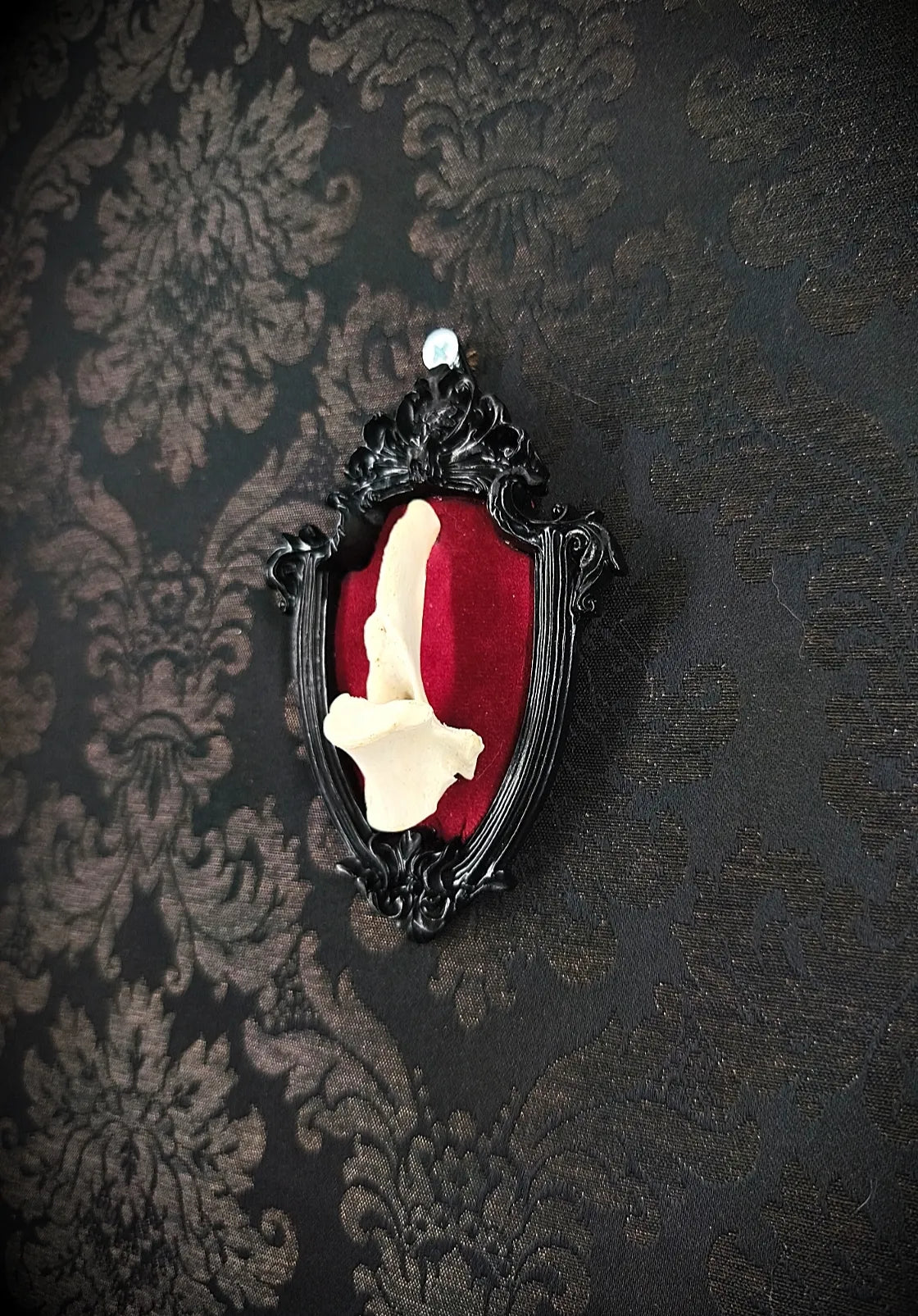 cadre gothique avec vertèbre sur velours rouge, collection artisanale